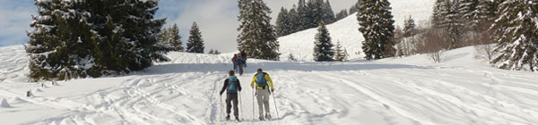 Winter pendelreizen