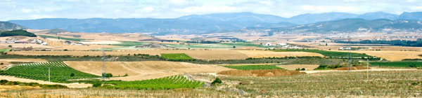Languedoc - Roussillion